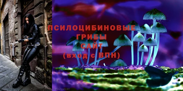 герыч Балахна